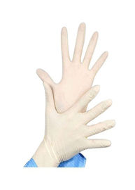 De duurzame Duidelijke Plastic Keukenhandschoenen, Steriel Rubber Gloves Geen Kleurenverschil leverancier